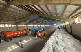 تعداد ۷۵ فقره حواله الکترونیکی توزیع کودهای کشاورزی برای شهرستان زرین دشت صادر شد