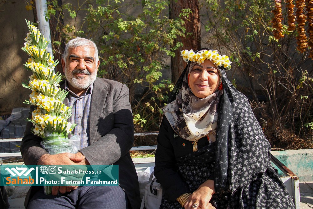 گزارش تصویری | جشنواره و برداشت گل نرگس از باغات شهرستان خفر