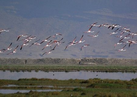 حفاظت از تالاب به اقتصاد محلی کمک می‌کند