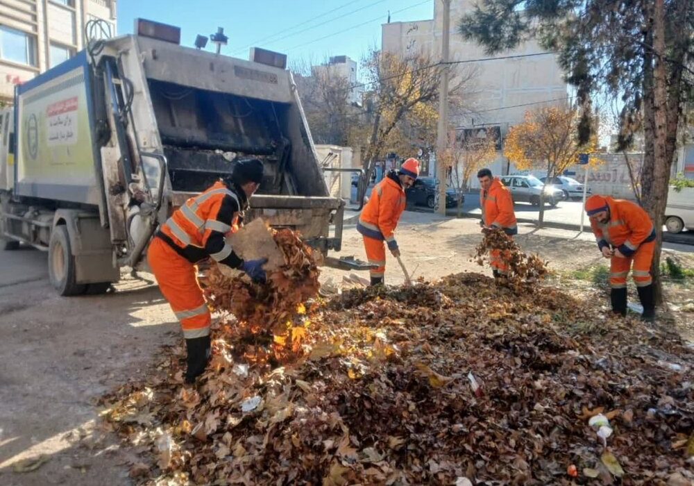 پیش‌بینی جمع‌آوری ۱۰۰۰ تُن برگ جمع‌آوری‌شده در شیراز