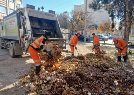 پیش‌بینی جمع‌آوری ۱۰۰۰ تُن برگ جمع‌آوری‌شده در شیراز