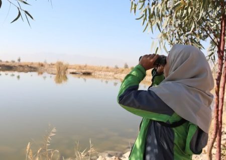 آغاز سرشماری نیمه زمستانه پرندگان آبچر و کنار آبچر در استان فارس