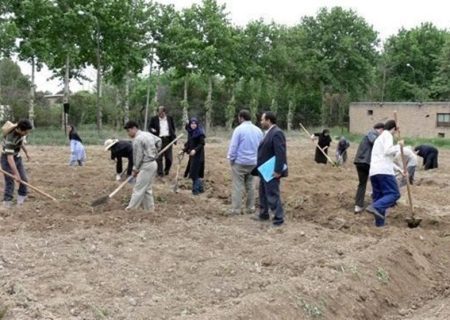 اجرای بیش از ۱۰۰۰ نفر روز آموزش مهارتی کشاورزی در شیراز