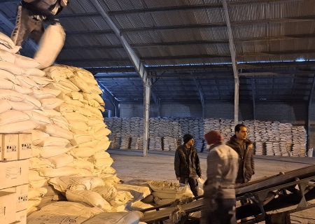 توزیع بیش از یک هزار تن انواع نهاده کشاورزی بین انبار کارگزاران در سطح شهرستان داراب