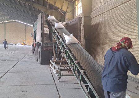 توزیع بیش از یک هزار تن کود کشاورزی بین انبار کارگزاران در سطح شهرستان زرقان