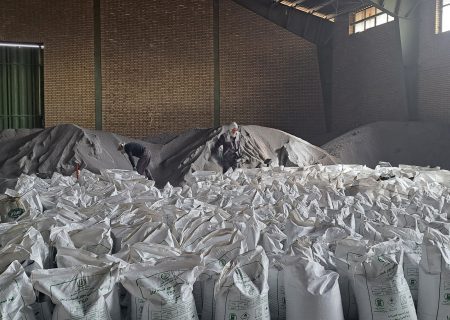 تامین مقدار ۵ هزار تن کود کشاورزی سوپر فسفات تریپل در انبارهای سازمانی شرکت خدمات حمایتی کشاورزی استان فارس