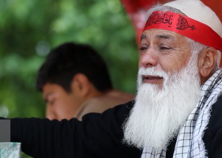 آلاله‌ها به زادگاهشان بازگشتند
