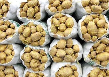 انبارهای احتکار سیب‌زمینی در شیراز لو رفت