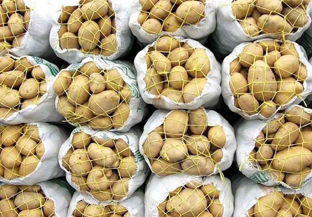 انبارهای احتکار سیب‌زمینی در شیراز لو رفت