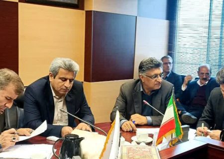اجرای ۱۱۰ برنامه عملیاتی افزایش توان اقتصادی در تعاون روستایی فارس