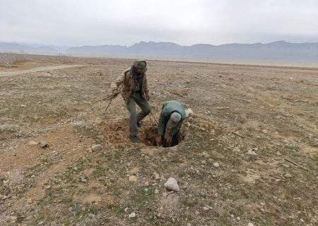 رفع تصرف ۲۰ هزار متر مربع پناهگاه حیات وحش در استهبان