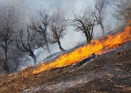 آتش‌سوزی مراتع نورآباد اطفاء شده است