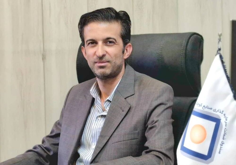 نقش مشاوران صنعتی در توسعه صنایع کوچک و متوسط چیست