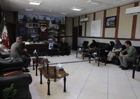 قدرت اجرایی سازمان محیط زیست افزایش یابد