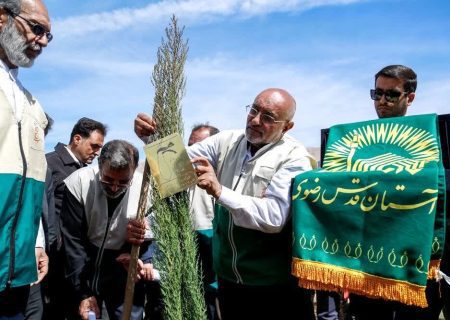 فرهنگ درختکاری را در میان دانش‌آموزان نهادینه کنیم