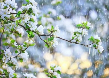 سامانه بارشی فردا وارد فارس می‌شود / کاهش دمای هوا در هفته آینده