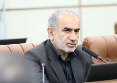 تمهیدات مجلس برای تقویت سرمایه‌گذاری / دولت مولدسازی کند
