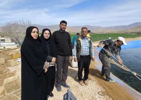 ۱۶۰ تن ماهی تولیدی بیضا به سفره  شب عید رسید