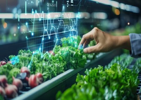 حفظ نباتات رکن اصلی تحقق امنیت غذایی است