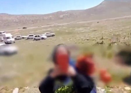 با عوامل چیدن لاله‌های واژگون در سپیدان برخورد می‌کنیم