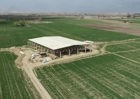 ساماندهی مسیر دسترسی به محوطه تل آجری تخت جمشید