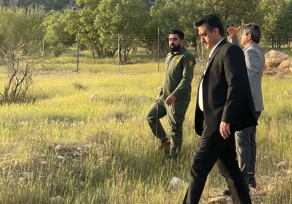 مجازات‌های جایگزین حبس در حفاظت از محیط زیست در نظر گرفته شود