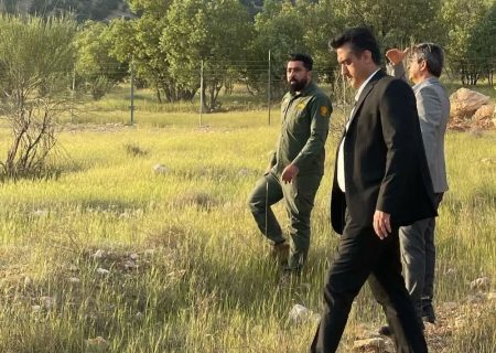 مجازات‌های جایگزین حبس در حفاظت از محیط زیست در نظر گرفته شود