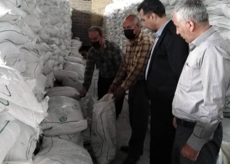 بازدید مدیر شعبه فارس از مراحل نمونه برداری کود در انبارهای سازمانی