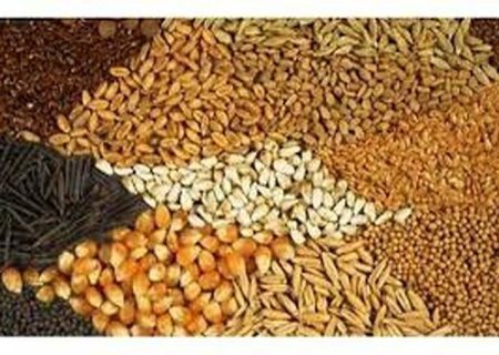 تخصیص و تأمین ۷۰۰۰ تن نهاده دامی برای تولیدکنندگان فارس