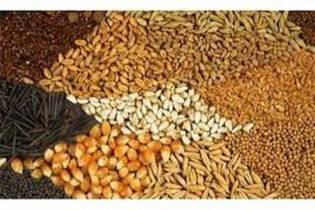 تخصیص و تأمین ۷۰۰۰ تن نهاده دامی برای تولیدکنندگان فارس