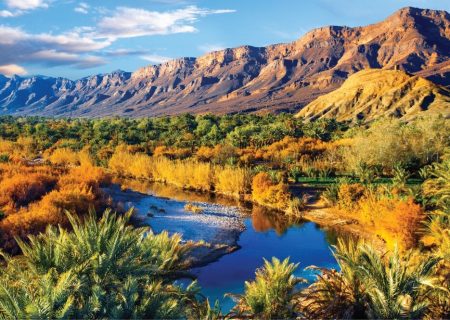 حفاظت از طبیعت بدون آگاهی جمعی و تغییر ارزش‌های رایج محقق نمی‌شود