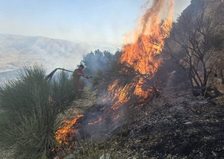 آتش‌سوزی در کوه دراک شیراز در سه ضلع مهار شد