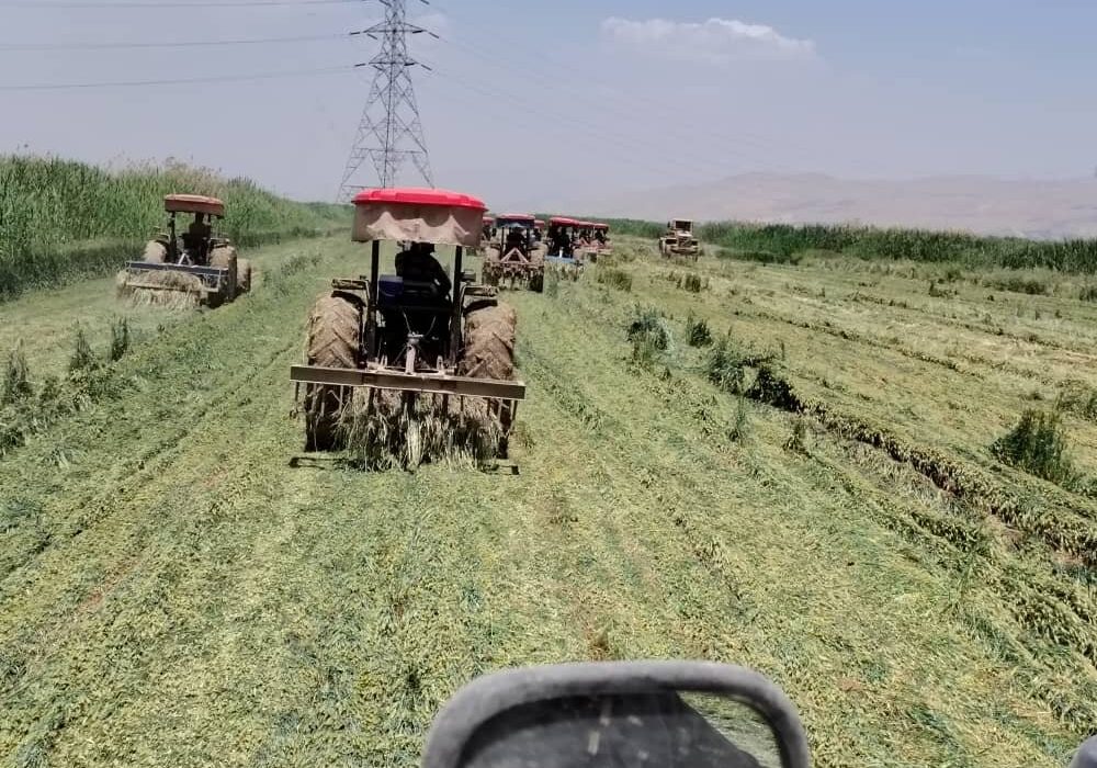 امحاء ۸۶۰ هکتار از مزارع آلوده به فاضلاب خام در شرق شیراز