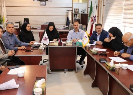 پایش مستمر برای استفاده بهینه از اراضی شهرک‌های صنعتی فارس ادامه دارد
