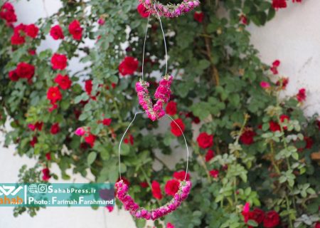 گزارش تصویری | برداشت گل محمدی از باغات میمند فارس