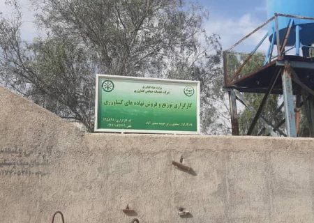 بازدید کارشناسان شرکت خدمات حمایتی کشاورزی استان فارس از انبار کارگزاری زرین خوشه منصور آباد