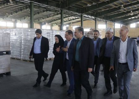 تقویت تأمین برق پایدار برای صنعتگران در منطقه ویژه اقتصادی شیراز