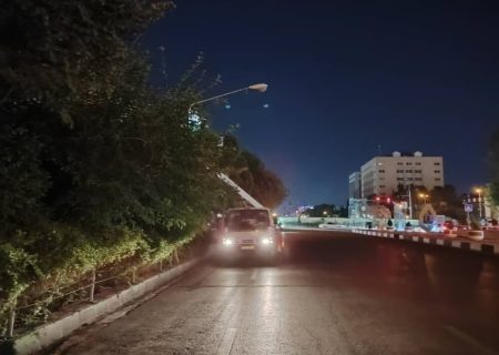 تامین برق پایدار در شادپیمایی غدیر شیراز   