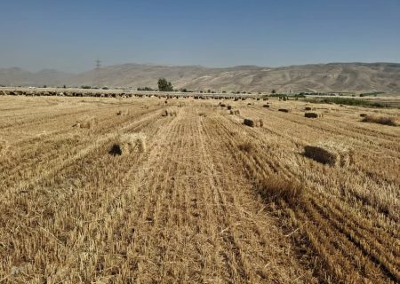 حفظ بقایای گیاهی در مزارع کشاورزی فیروزآباد