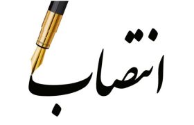 سرپرستانِ جدید پنج حوزه مدیریت شهری شیراز معرفی شدند