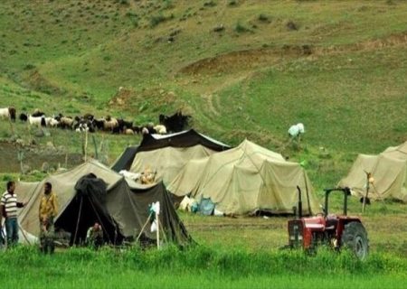 تخصیص ۲ هزار تن نهاده دامی به عشایر فارس