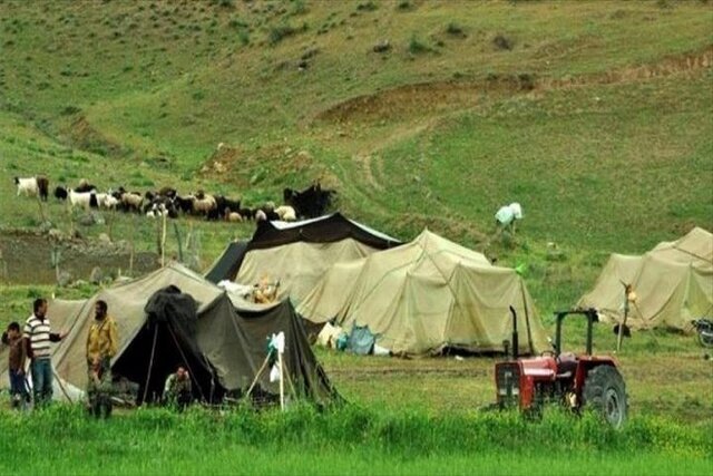 تخصیص ۲ هزار تن نهاده دامی به عشایر فارس