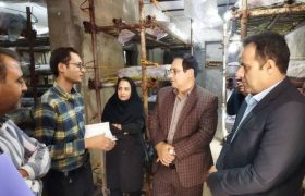 توسعه پایدار روستاها در گرو حمایت از طرح‌های بومی اشتغالزاست