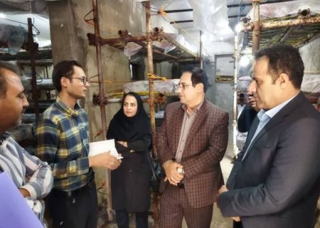 توسعه پایدار روستاها در گرو حمایت از طرح‌های بومی اشتغالزاست