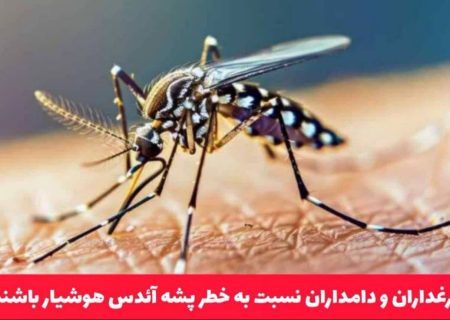 مرغداران و دامداران نسبت به خطر پشه آئدس هوشیار باشند