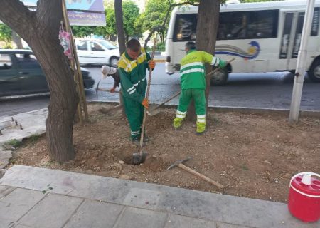 گام بلند شهرداری منطقه یک در احیای فضای سبز بلوار زند
