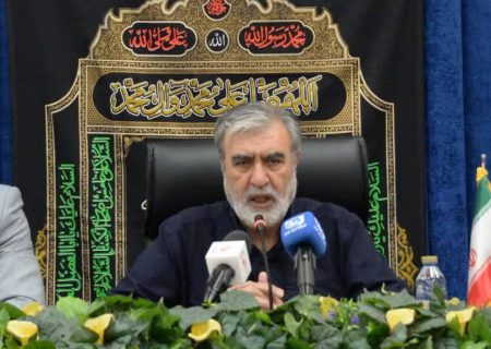 تعجیل در مذاکره برای طرف‌هایی که پایبند به اصول نیستند، جایز نیست/تبدیل آژانس به یک باشگاه سیاسی جانبدارانه