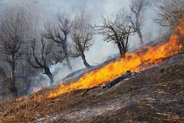 ۹۰ درصد علل آتش‌سوزی مراتع عامل انسانی است