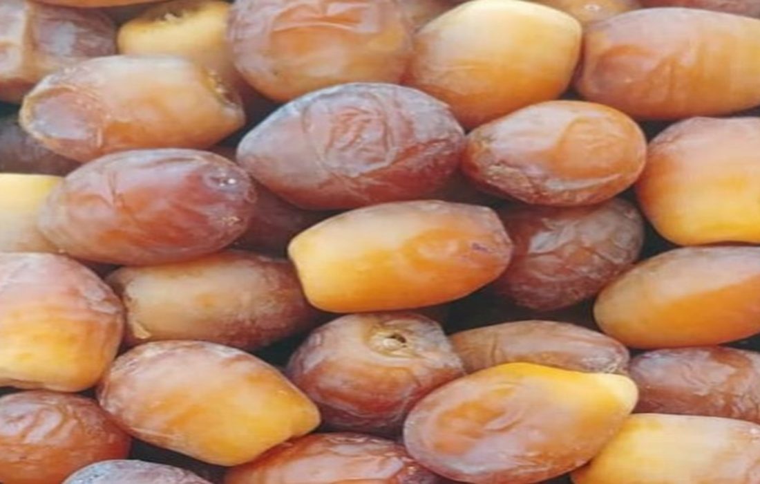 تولید سالانه نزدیک به ۵۷ هزار تُن رطب در فارس؛ صادرات بیش از ۱۳ میلیون دلار