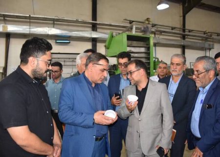 تسهیل صدور مجوزها و حمایت مالی از تولیدکنندگان در فارس